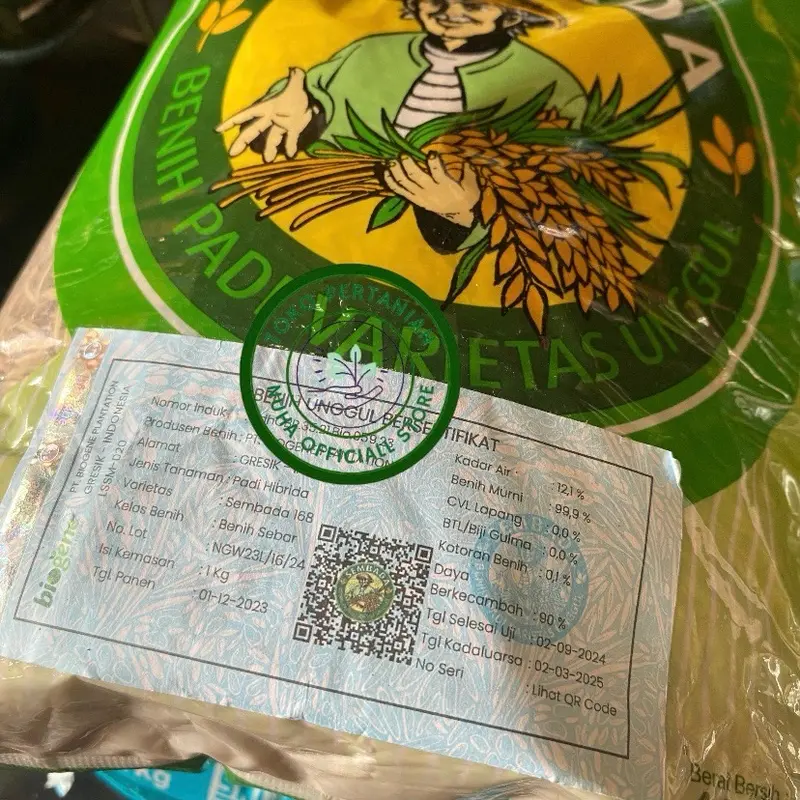 Padi hibrida SEMBADA 168 kadaluarsa bulan 3 2025 2
