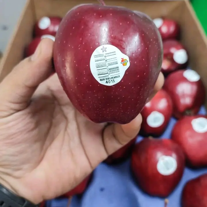 Apel Reddel 1Kg USA - Kandungan Nutrisi Segar dan Manis - Frozen, Gula, Makanan, Zuriat, Anggur
