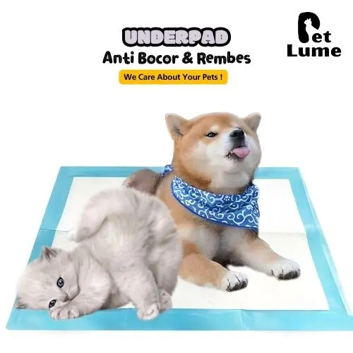 UNDERPAD 60x60cm BIG SIZE - TRAINING PAD ANJING - PERLAK KUCING - UNDERPAD - ALAS PIPIS KUCING 0