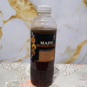 madu hutan liar 600 gr asli murni dan alami dari jenis lebah apis dorsada hutan sumatra Honey