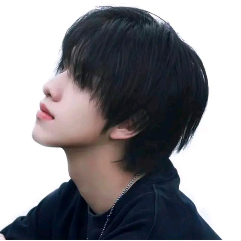 WIG PRIA RAMBUT PENDEK TEBAL WARNA HITAM MODEL COWOK KOREA GRATIS WIGCAP 2