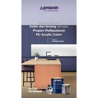 Gambar PROPAN MULTIPURPOSE PU ACRYLIC PU SOLID COLOR YANG TIDAK MENGUNING 1LSET - CLEAR SATIN dari PROPAN RAYA Kota Administrasi Jakarta Barat 3 Tokopedia