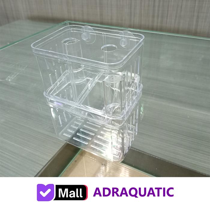 Gambar BREEDING BOX GUPPY CUPANG A14 ISOLATION BOX KARANTINA PEMIJAHAN BERTELUR IKAN HIAS - SMALL dari ADRAQUATIC Kota Bandung Tokopedia