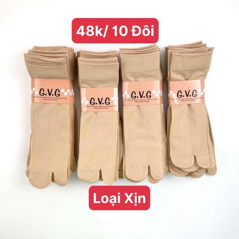 LOẠI XỊN Set 10 Đôi Hoặc 5 Đôi Vớ Tất Nữ Xỏ Ngón Chống Nắng GVG, màu da Vải cotton dày dặn, mềm mịn cực êm chân Women