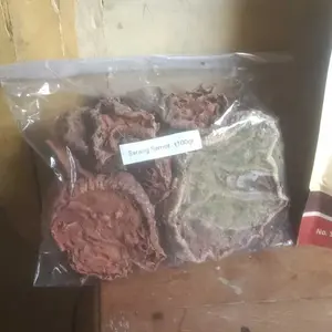 Sarang Semut Papua Asli 100gr