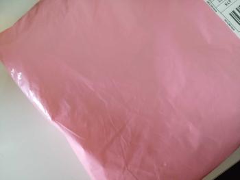 Product Review of Bộ Đồ Ngủ Nữ Pijama Chất Đũi Nhung Tiểu Thư HANI Thiết Kế Babydoll Đáng Yêu Chất Mềm Mịn Mát HK06 from E**a 0