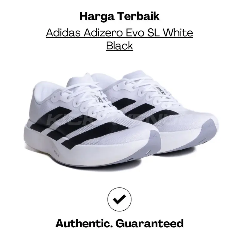 Adidas Adizero Evo SL White Black UNISEX PRE ORDER 40 2/3