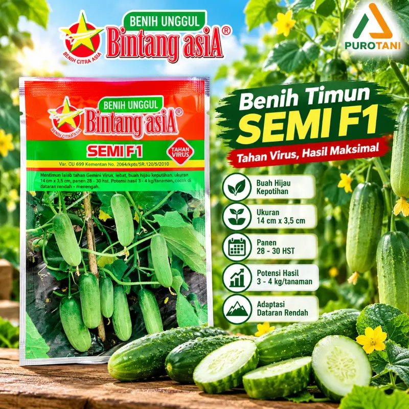 Bibit Mentimun F 1 Benih Timun Semi F1 Bintang Asia 900 Butir 20gr Hijau