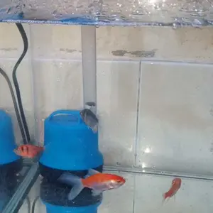 AQUAZEN Pompa Celup Aquarium AQUAZEN AZ - PSP - 2200Z 15 W Submersible Pump Ketinggian 1.8 M