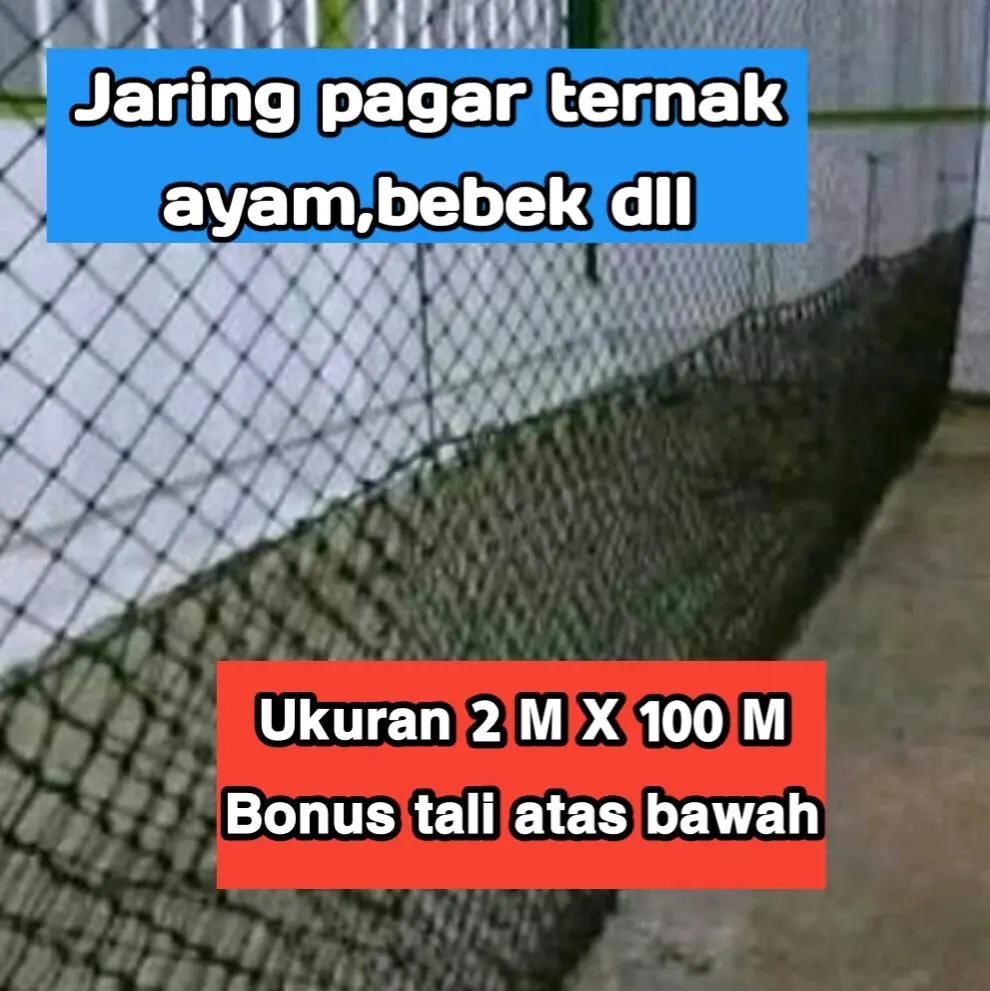 Jaring pagar ayam ukuran 2 X 100