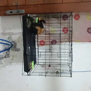 Kandang Lipat BESI Anjing Kucing - Kandang Hewan Peliharaan Anabul Anjing Kucing Kelinci Hamster Bisa Lipat - Plus Tatakan Kandang Besi Lipat Kucing Cat Kitten Anjing - Besi Lipat Tebal