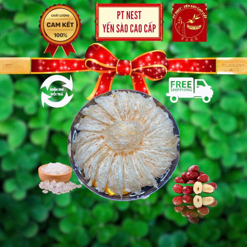  PT NEST Yến Sào Tinh Chế Nguyên Chất 18-20 Tổ 100gr Tặng Táo Túi Giấy Đường Cải Thiện Sức Khỏe Tăng Cường Hệ Miễn Dịch 