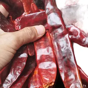Cabe Kering Besar Tanpa Tangkai 1 Kg - Kwalitas Super Murah - Pedas, Masakan Cabai