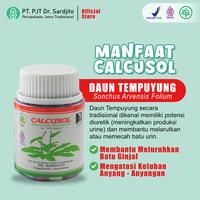 Gambar Paket 2 Botol Calcusol 100 Kapsul Herbal Batu Ginjal Ampuh Obati Secara Alami dari PJT Dr. Sardjito Store Kota Yogyakarta 3 Tokopedia