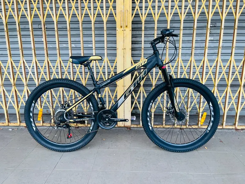alpina fork アルピナ　ピスト Alpina carbon fixed gear track bike fork