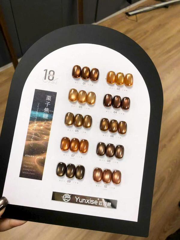  Set mắt mèo YUNXISE chính hãng - Set mắt mèo 10 màu TÔNG NÂU sang xịn mịn  tặng bảng màu + thanh hút    Nail Giá Tốt   