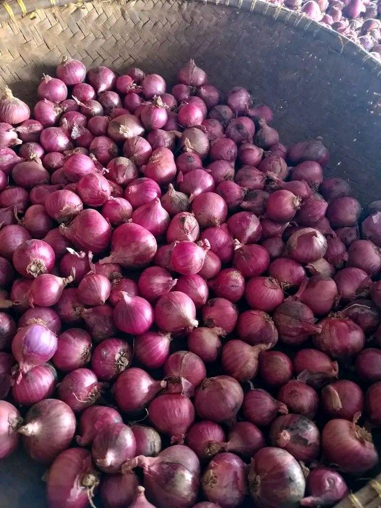Product Introduction of Bawang Merah Kering 1Kg  Spices-Bumbu Dapur Kering-Rempah Bumbu Masak Food Masakan Lezat 8