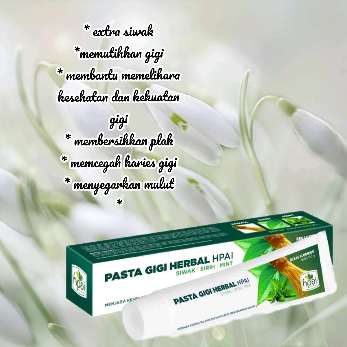 Pasta Gigi Herbal Siwak perawatan gigi gusi dan mulut
