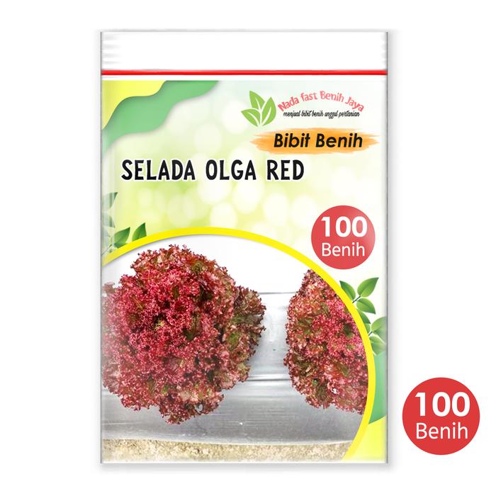 Gambar 100 biji Benih sayuran selada - bibit sayuran selada merah Olga Red - Selada olga red dari Nada fast benih jaya Kab. Banyumas 4 Tokopedia
