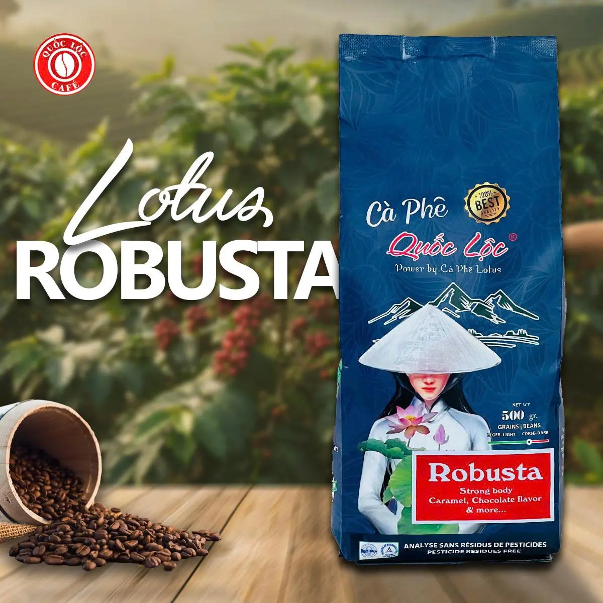 [500G] Cà phê rang mộc Lotus Robusta - Cafe Coffee Robusta Honey- Cafe Quốc Lộc