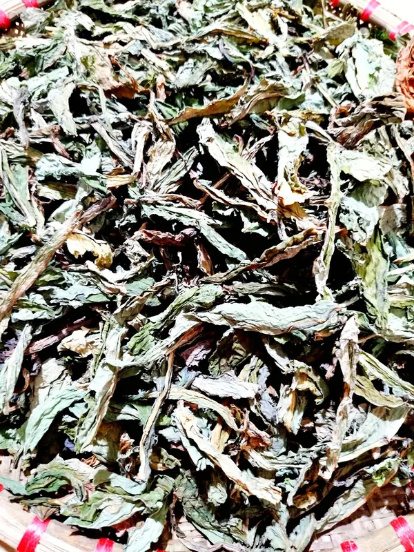 1kg Lá bồ công anh khô 1kg đặc sản Nam Định hỗ trợ Thanh nhiệt mát gan,tiêu u – dùng uống giải khát hàng ngày 2