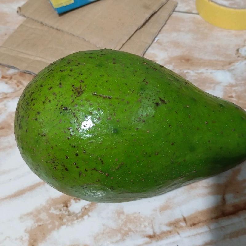 Alpukat mentega Reguler 1KG (isi 3 Buah) hass 2