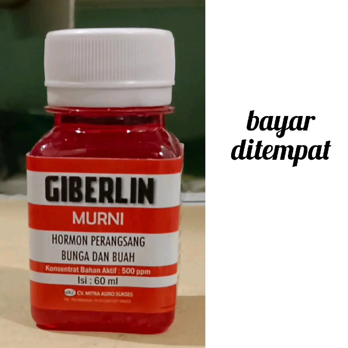 Giberlin Untuk Bunga dan Buah Kemasan 60ml Tanaman