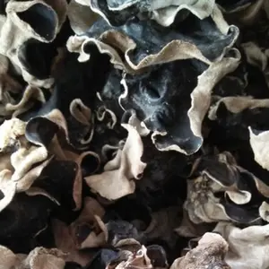 jamur kuping kering jamur sayur