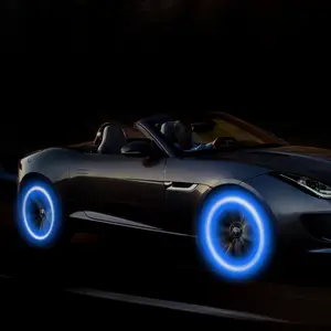 LED Light 2pcs Mountain Bike Light Light stick type Car Tire Valve Cap Decorative Lantern Wheel Spokes Lamp Neon Lamp