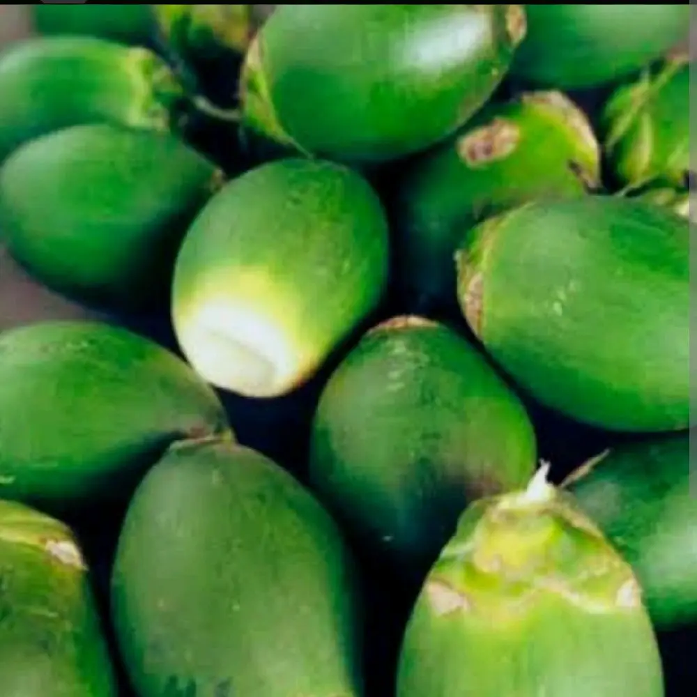 buah pinang muda segar 250g