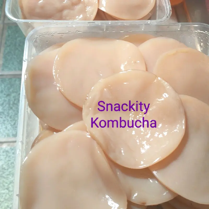 Scoby fermentasi kombucha diameter 8 cm, tebal 0,5 cm, lengkap dgn starter 200 ml 2