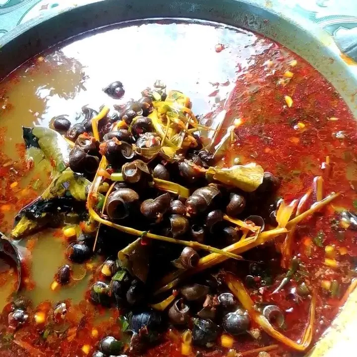 Tutut mentah Per literan sudah direbus/Bekicot/tutut/sefood/ Siap masak cocok buat menjaga kesehatan /penyakit liper dan penyakit lainnya enak gurih nikmat 1