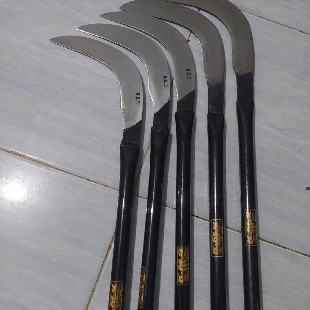 EGREK KASTRASI DOMPET SAWIT