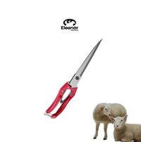 Gambar Eleanor Farm Gunting Bulu Domba Kambing Kuda Grooming Ternak dari ELEANOR FARM INDONESIA Kab. Madiun 5 Tokopedia