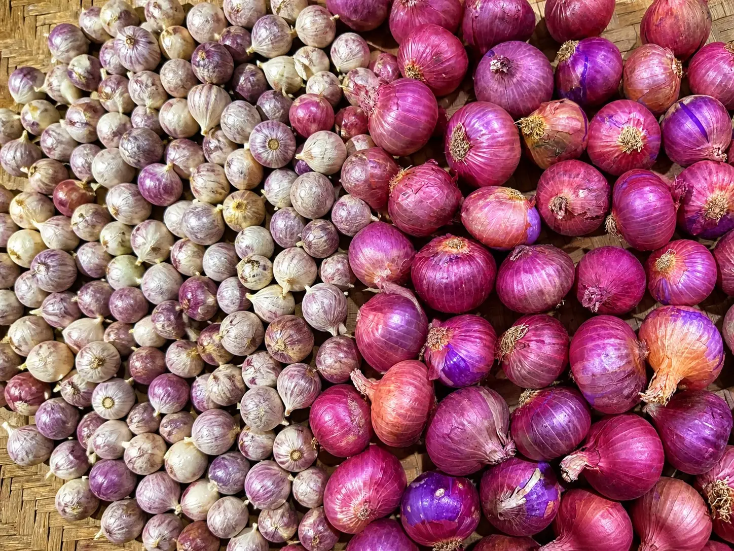 (BÁN CHẠY) TỎI CÔ ĐƠN Nhỏ KHÔ -1KG TẶNG 500G HÀNH TÍM