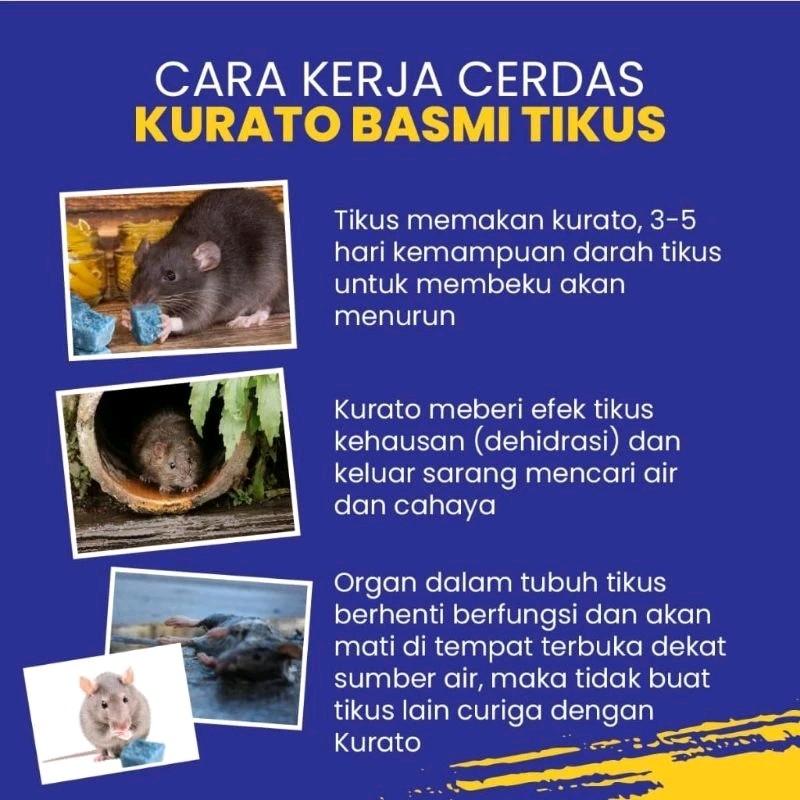 RACUN TIKUS KURATO 100% ORIGINAL 200GRAM PEMBASMI AMPUH TIKUS 5