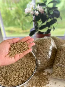 GERIT TIWUL TERBUAT DARI OLAHAN SINGKONG