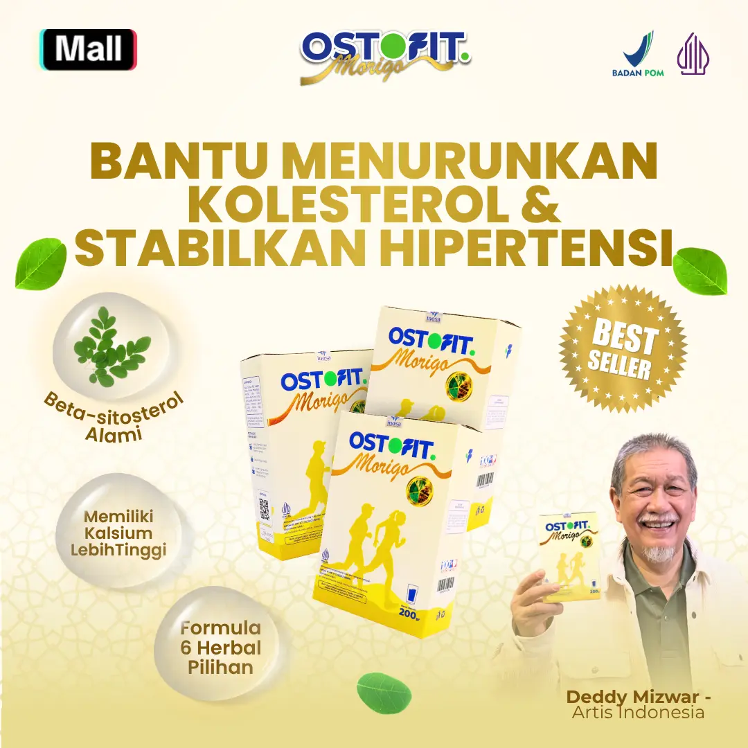 3 Box Ostofit Morigo LEBIH HEMAT