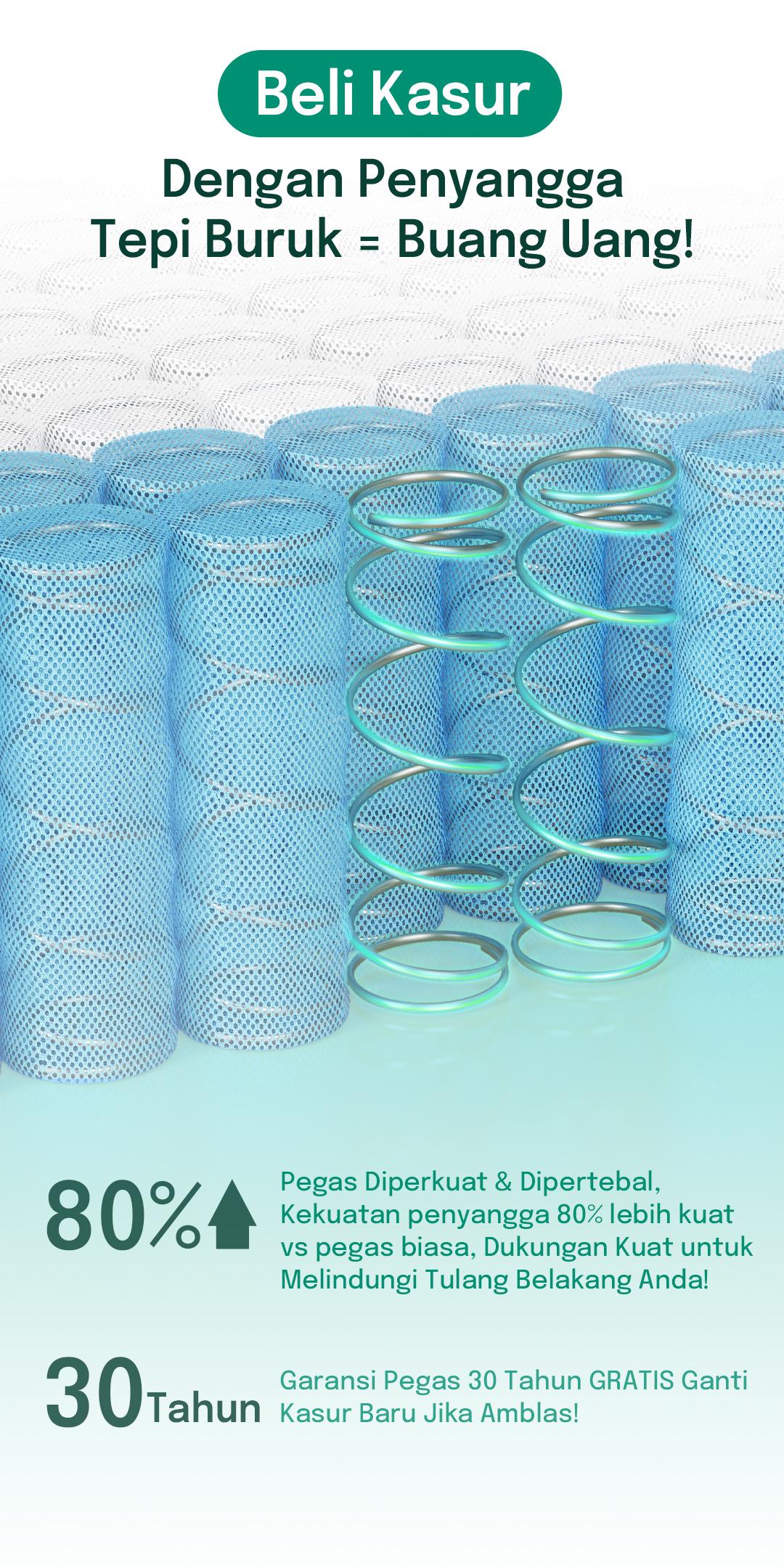 Kasur Busa Spons Pocket Spring Tebal 25cm Lantai Matras Anti Lembab Free Bantal Cooling System 3D Ice Silk dengan Teknologi Dingin & Busa Peppermint