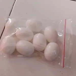 SEMPATI TELUR MAINAN BURUNG MERPATI TELUR MAINAN AYAM DENECD