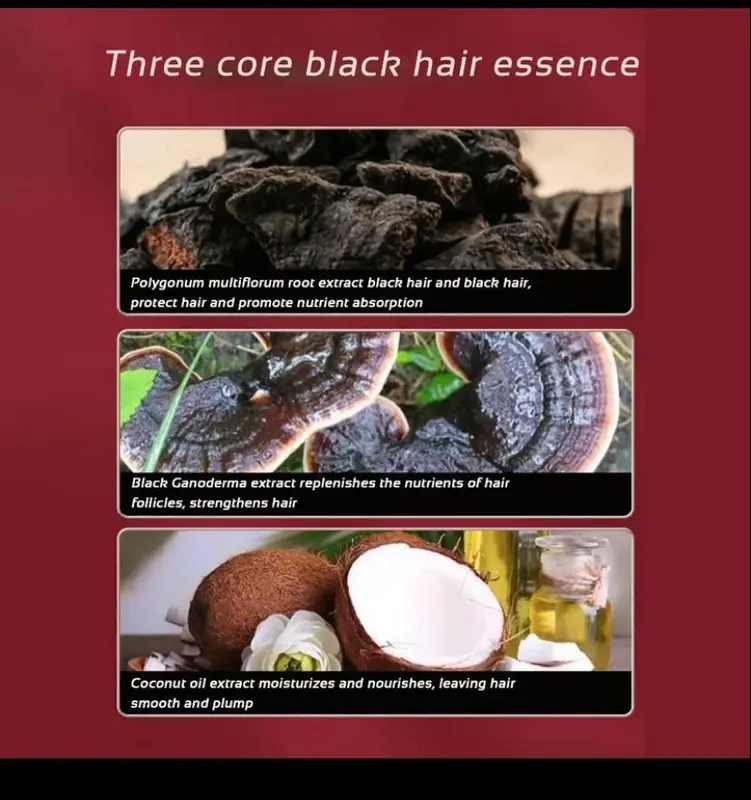 VIRAL DAN TERBARU! SHAMPO Black Herbal Natural Penyamar Rambut dan Penghilang Uban Permanen Usia Muda 300 ml - COD (Bayar Di Tempat) 3