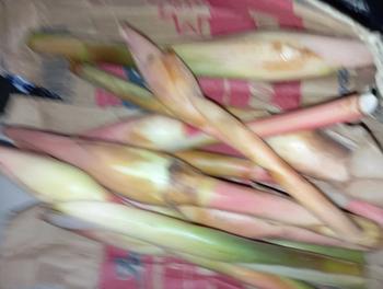 Product Review of Kecombrang bumbu masak 1kg yang kami kirim kecombrang utuh from 🥰**a v**🥰 3