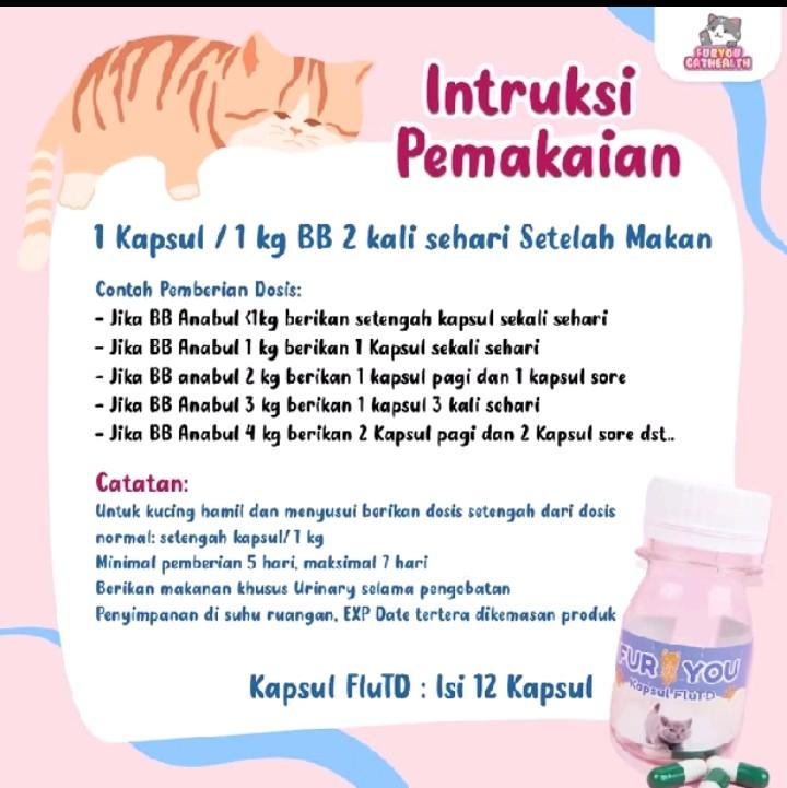 Fur You Kapsul Susah Pipis Flutd pipis berdarah kencing berdarah pada Kucing 1