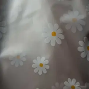 APEN Ziplock Karakter Travel Pouch Serbaguna Penyimpanan Pakaian Plastik Anti Air Minyak Barang Unik