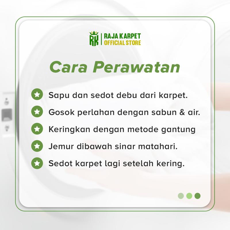 Product Introduction of RAJA - Karpet Lantai Eropa Anti Slip Bahan Polyester Alas Karet Motif Estetik Karpet Ruang Tamu Modern Carpet 19