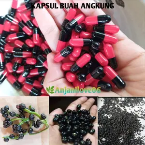 Buah Angkung Kering Kapsul siyap konsumsi herbal alami