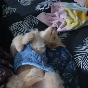 DONGWU mantel bulu anjing dan kucing Pakaian rompi anjing dan hewan mantel aksesoris hewan bahan bulu lembut halus