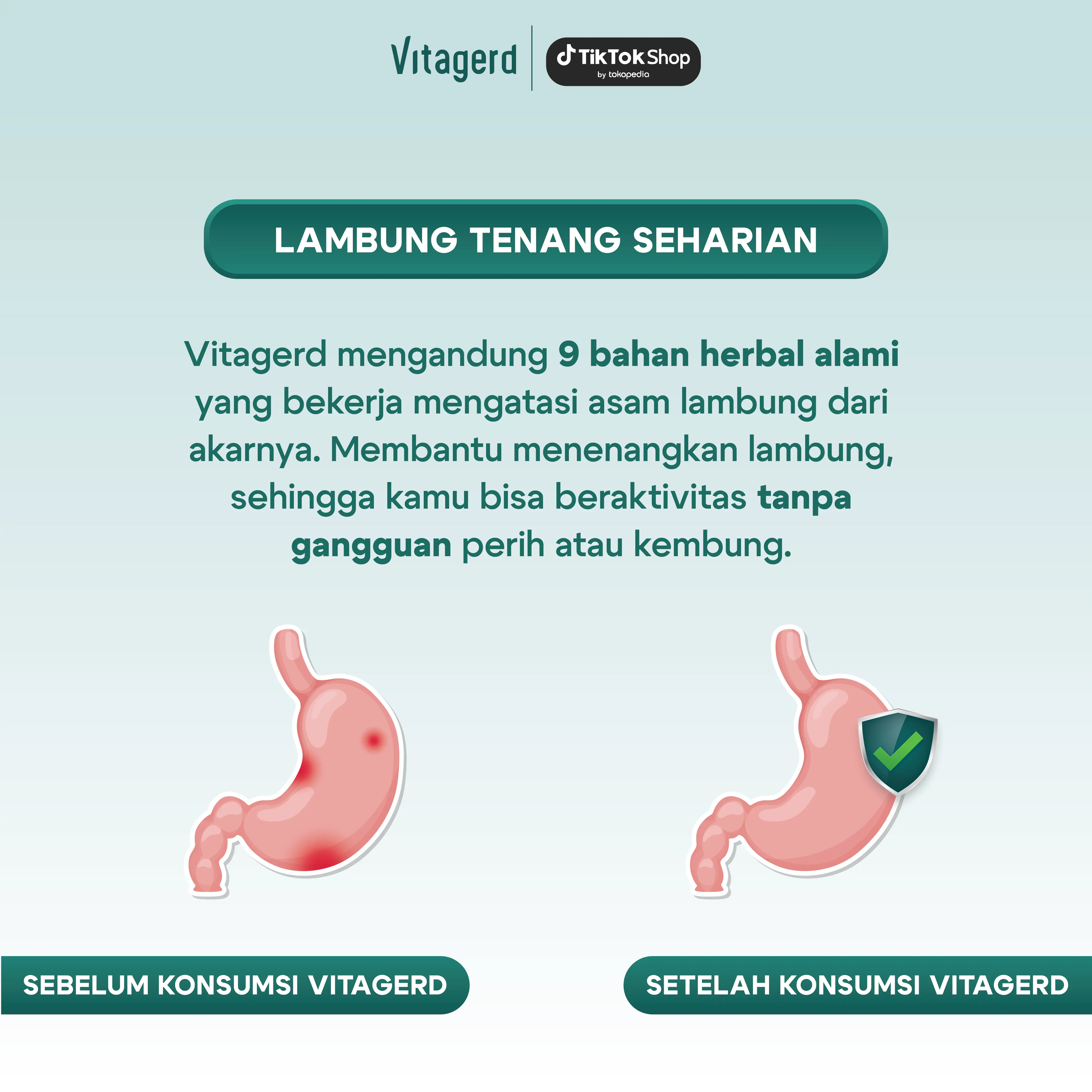 Vitagerd - Madu Lambung Membantu Masalah Asam Lambung, Gerd, Mual, Muntah dan Ganguan Pencernaan - BPOM & Halal MUI | Organik