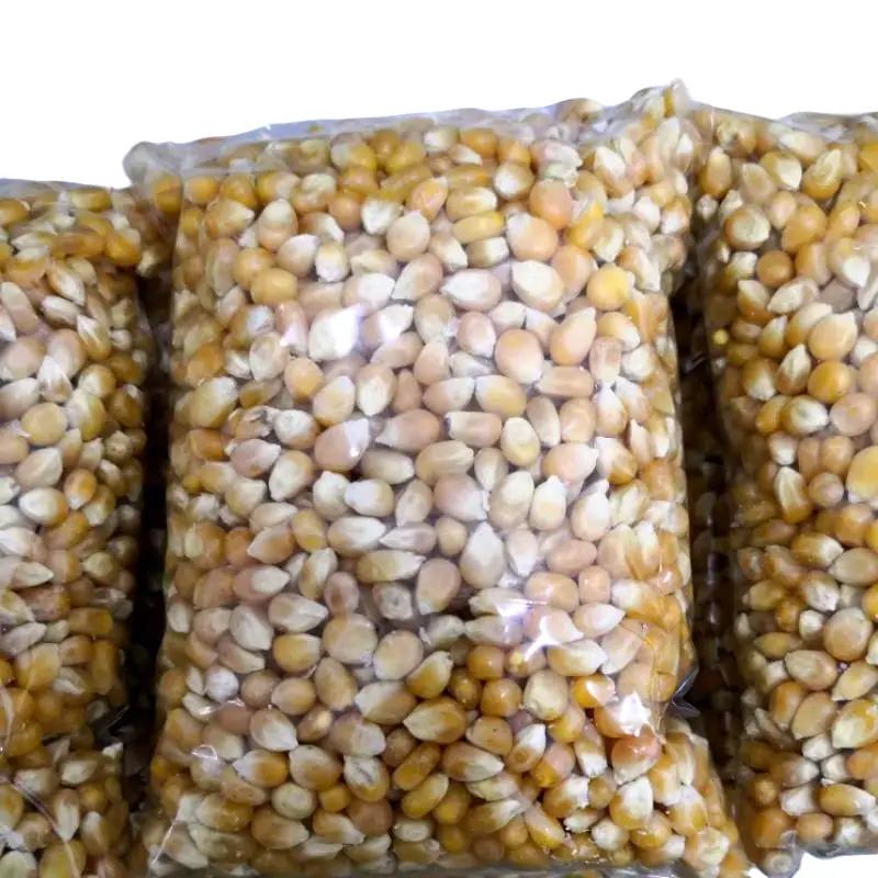 READY STOCK Popcorn Mushroom Kernel 500gram - TikTok Shop Malaysia