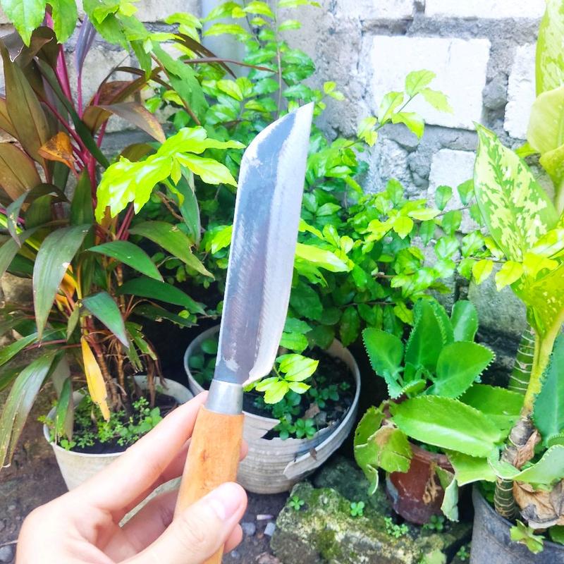 (PAKET 10 PCS) PISAU TGR DAPUR BAJA STRIP TIPIS PISAU BUAH SAYUR DAGING 1